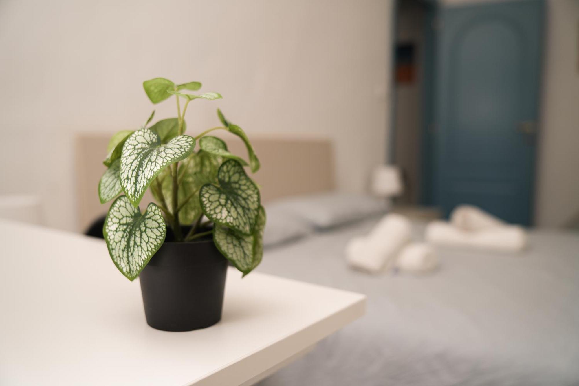 토리노 Camyhouse 아파트 외부 사진